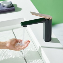 South African Premium...