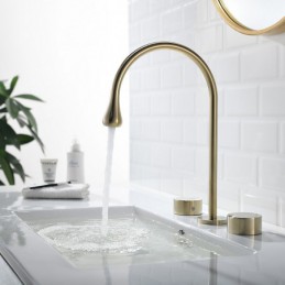 South African Premium Two...