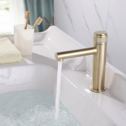 South African Premium...