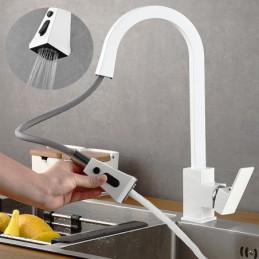 South African Premium...