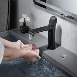 South African Premium Black...